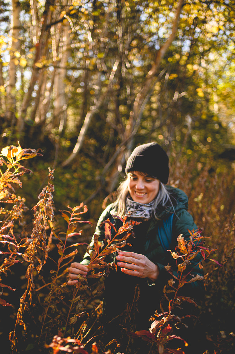 Pascale Faubert cueille des plantes dans la forêt d’automne
